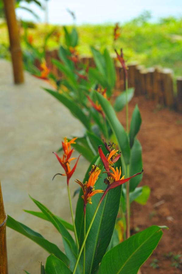 Pura Vida Varkala Hotel Luaran gambar